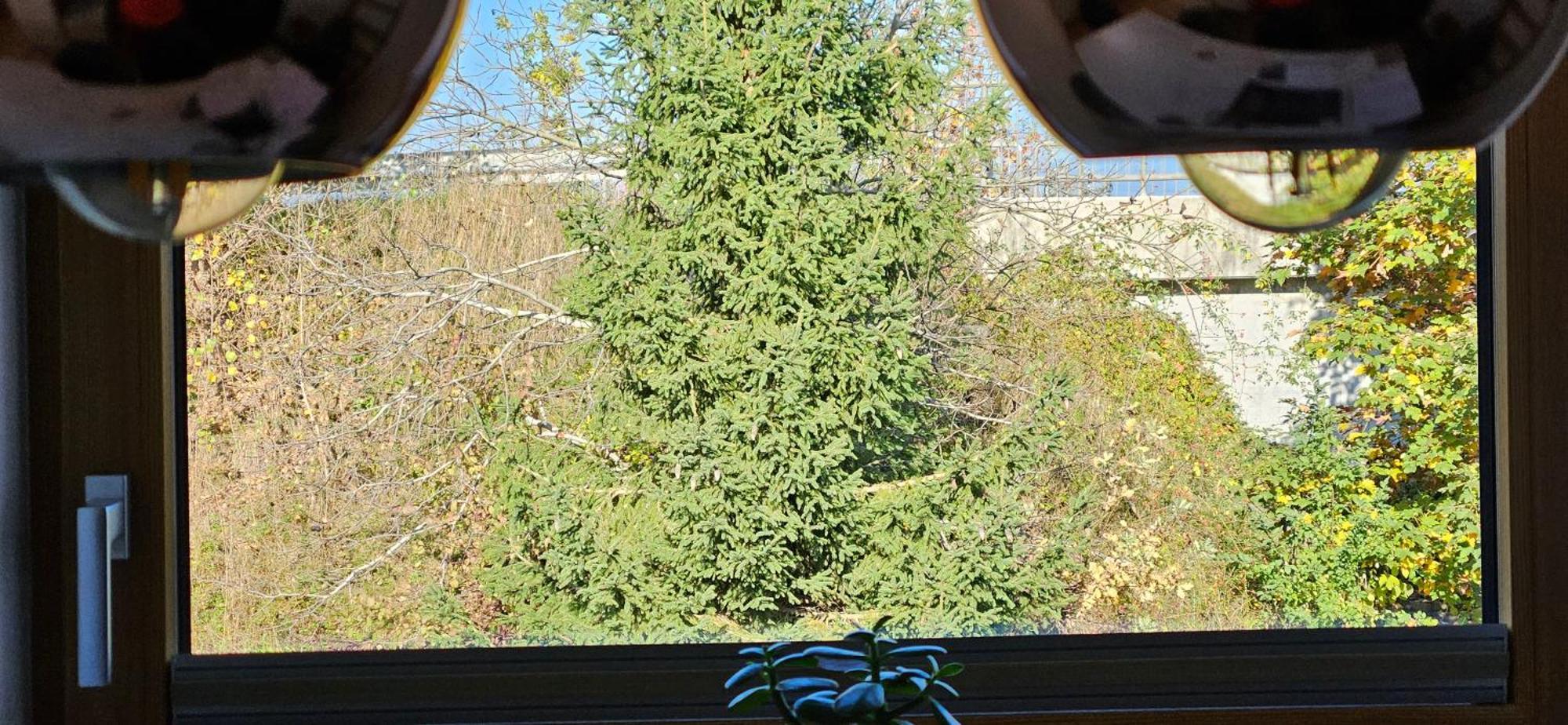 Appprusnik Appartement *
